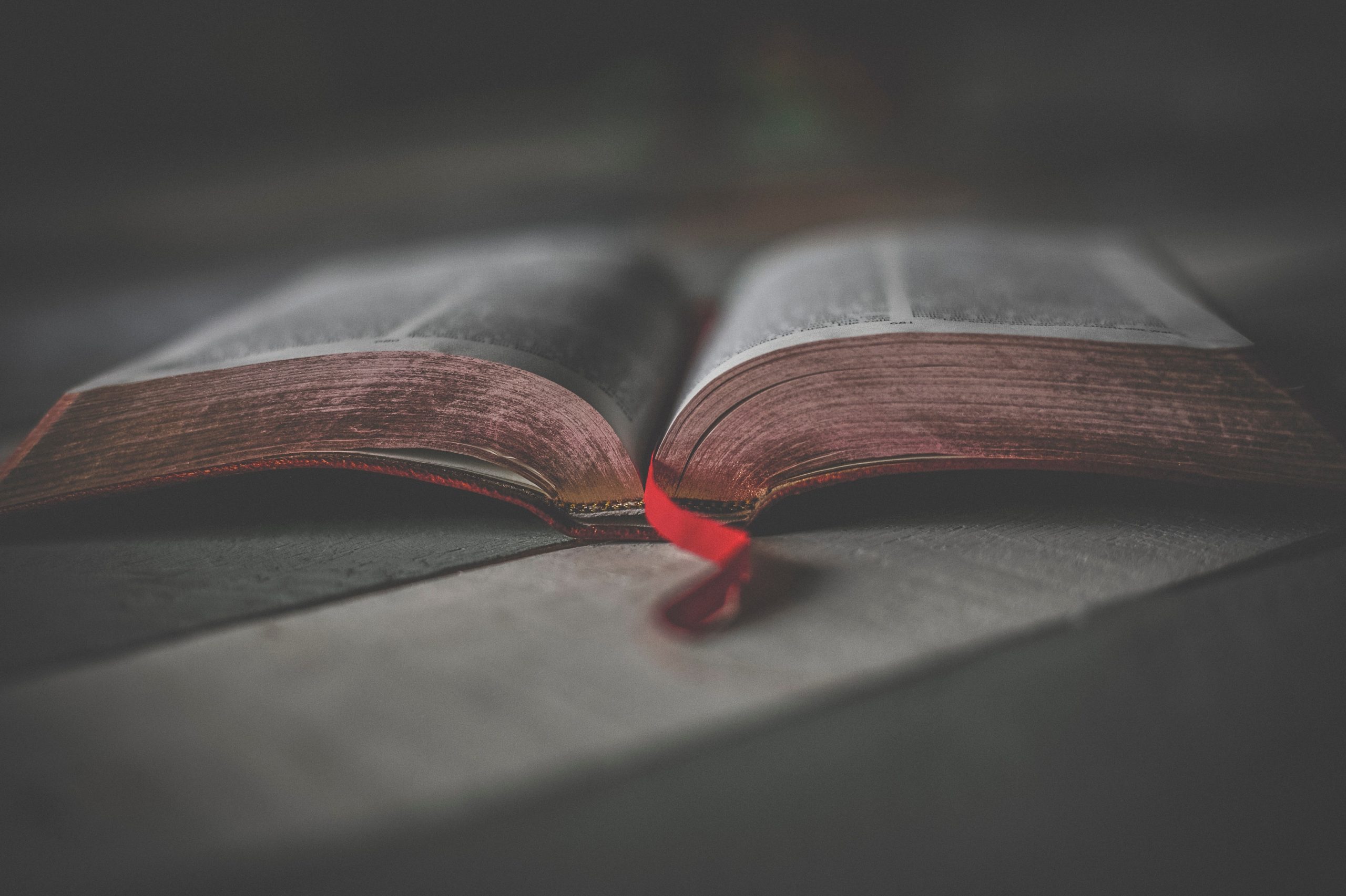 bible open
